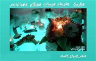 دفتر ازدواج و سالن عقد نارمک-فرجام-رسالت-هنگام-تهرانپارس