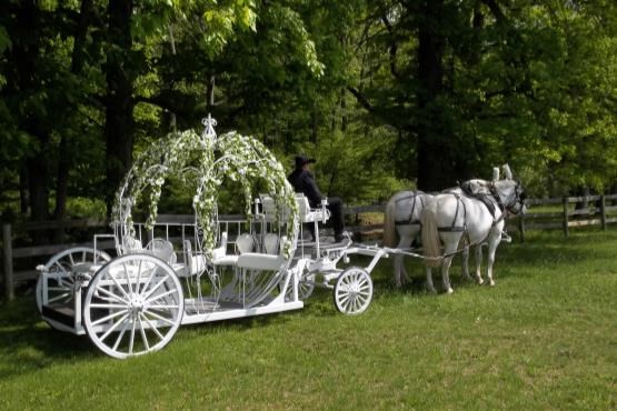 چه ماشینی برای عروسی کرایه کنیم ؟