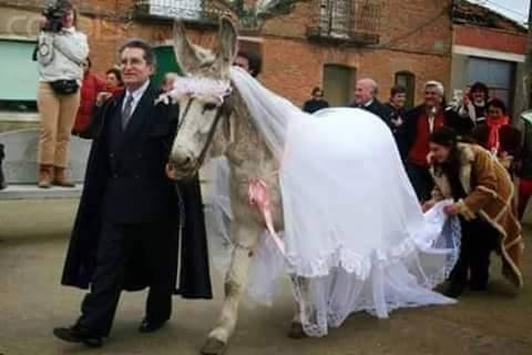 عروس چقدر قشنگه ایشالا مبارکش باد !